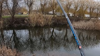 3 Locuri, 0 Grade, 0 Pește