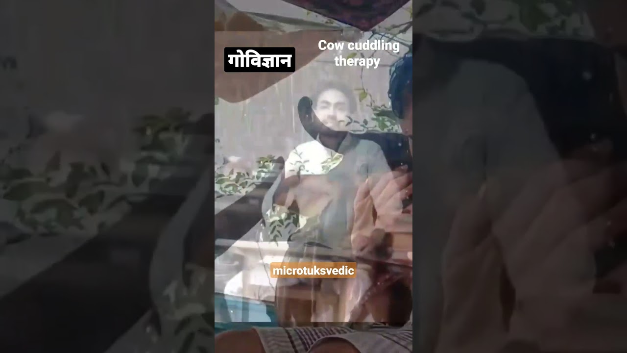 Cow cuddling therapy | गोविज्ञान
