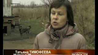 Великолукский центр милосердия для животных, 2008г.. Великолукский центр милосердия для животных, 2008г..