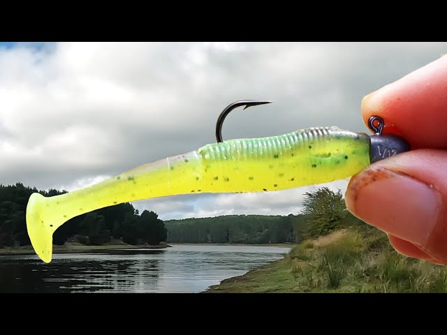 SOFT PLASTICS FISHING FOR BEGINNERS 