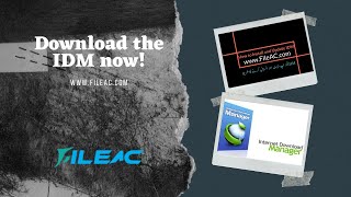 How to update and install Internet Download Manager (IDM) screenshot 5