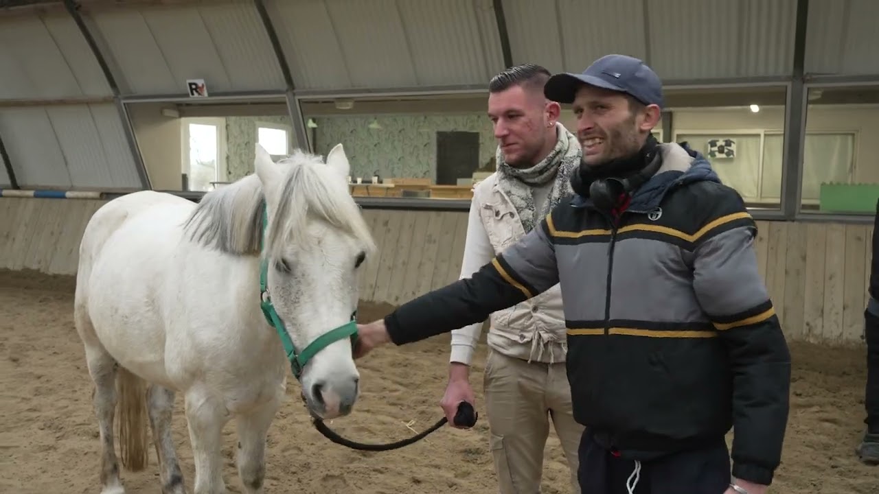 Frégate, la formation autrement - Equicoaching à Nantes (mars 2024)