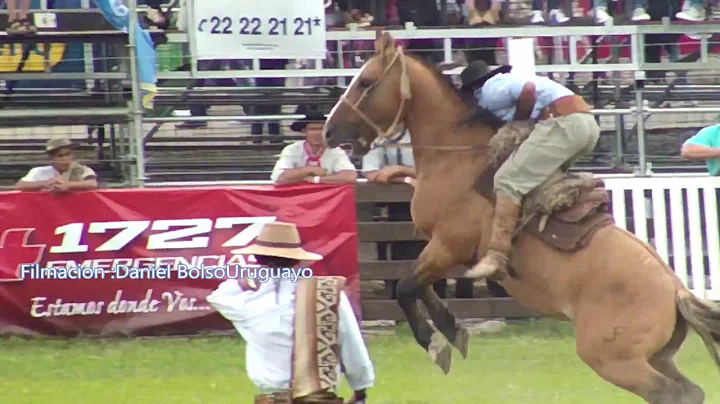 Nicolas Antunez Semana Criolla Prado 2018