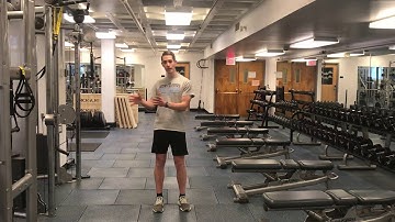 Pallof Press Split Squat