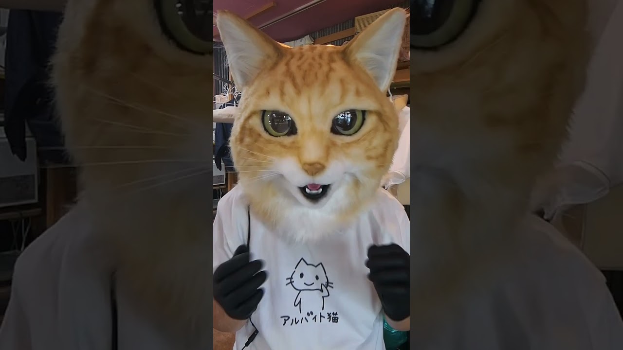 山田三毛猫、6月30日完成しましたー。茶トラちゃんでーす。 - YouTube