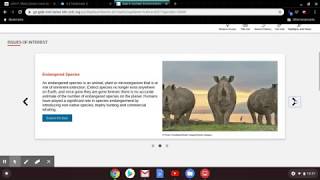 Environmental Studies (Gale in Context) webinar