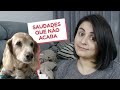 Como superar a perda de um cão