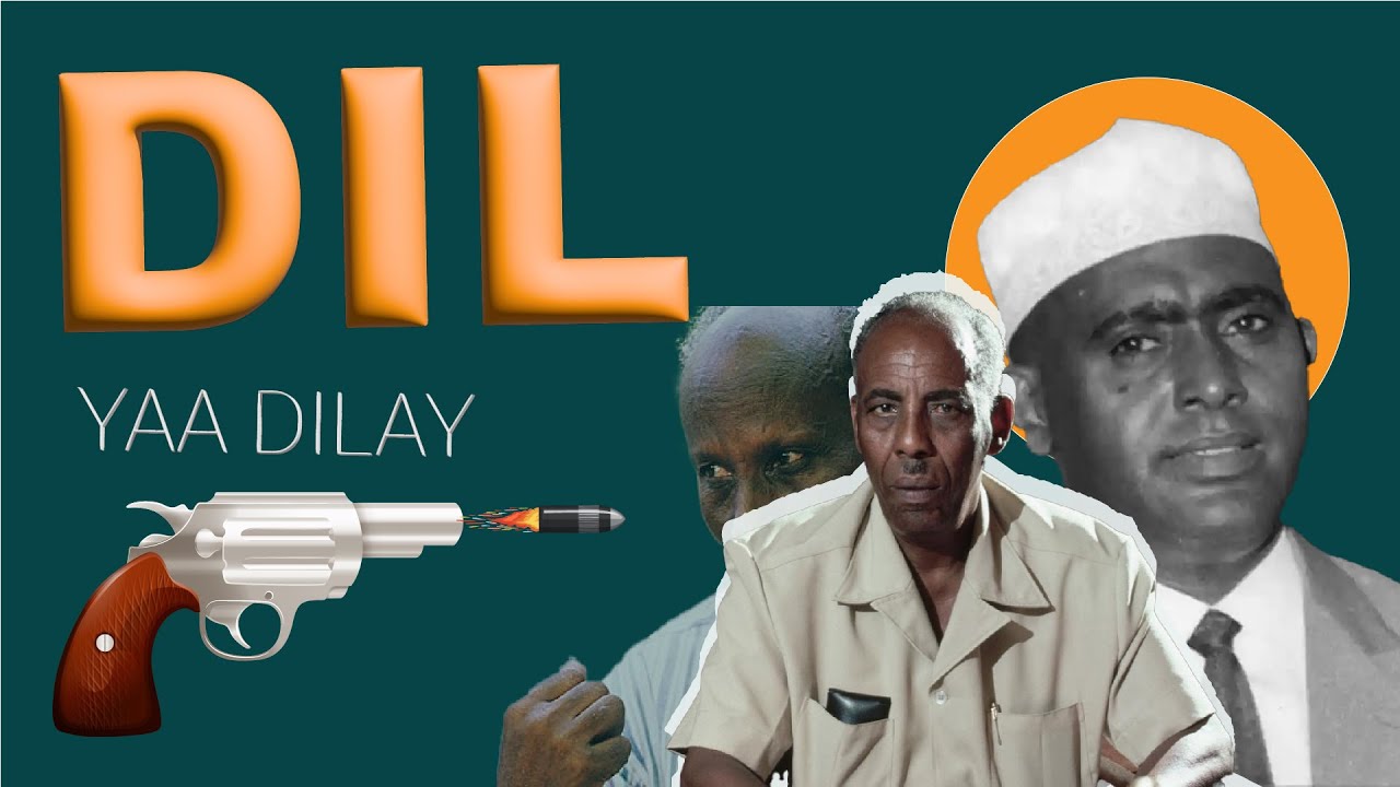 Dilkii Madaxweyne Cabdirashiid iyo afgambigii Dalka , Buuga Halgan iyo Hagardaamo.