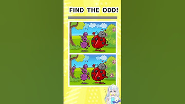 FIND THE ODD!!Find 5 mistakes!　#quiz  #challenge  #shorts  #game  #findthedifference #puzzle #games