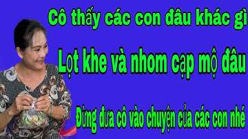 Hải Dân Tộc thăm le minh lọt khe mà chắc nó bị bat rồi