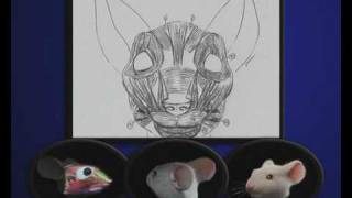 stuart little mouse 3d animation screenshot 5