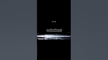 وَيَقُولُونَ مَتَىٰ هَٰذَا ٱلْوَعْدُ إِن كُنتُمْ صَٰدِقِينَ🤍 / القارئ عبد الرحمن مسعد