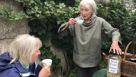 Garden gems: The Forager - Jan Cameron meets Fi Ma...