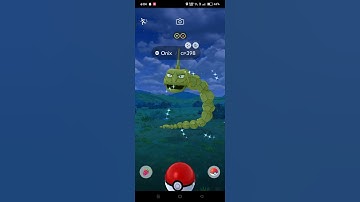 Catching a Shiny Onix