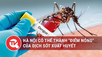 Hà Nội có thể thành "điểm nóng" của dịch sốt xuất huyết | Truyền hình Quốc hội Việt Nam