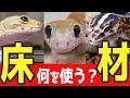 床材比較！レオパ・ニシアフ・ミリィ等地表性ヤモリの床材を紹介します