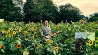 Freddy Monday - Passing By Hours [Official Music Video] 🌻🐝