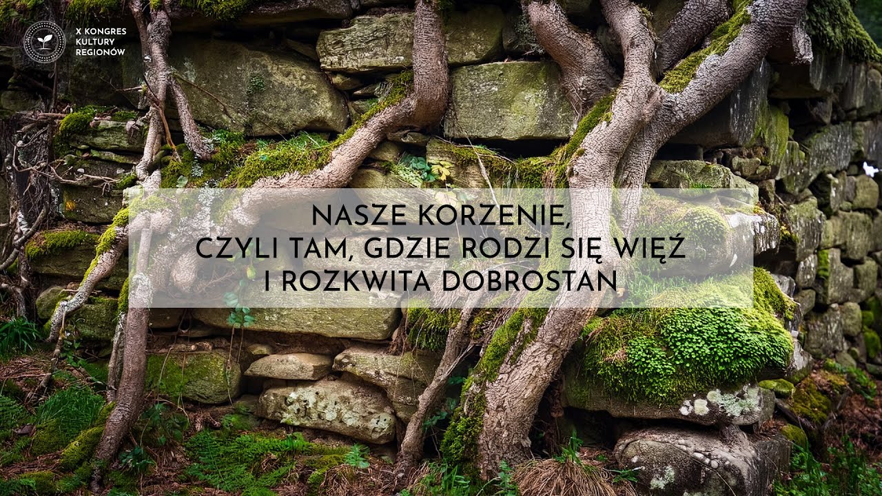 NASZE KORZENIE, czyli tam, gdzie rodzi się więź i rozkwita dobrostan