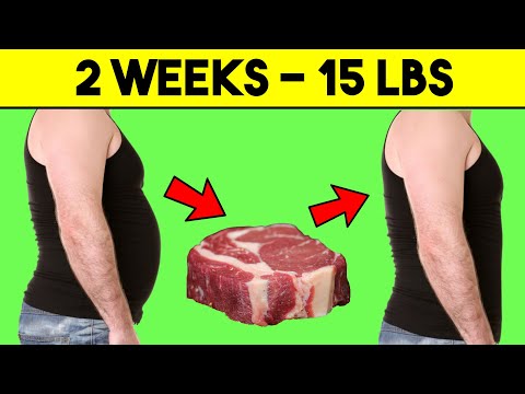 The Lion Diet