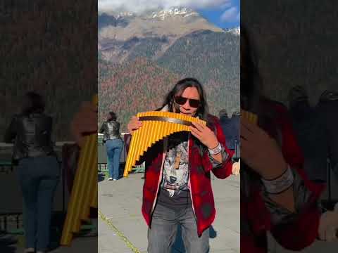 الراعي الوحيد  