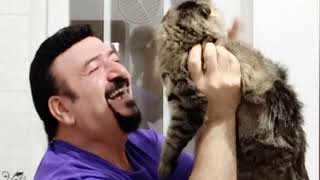 Kahverengi Gözlerin - Piyanist Nurettin Resimi