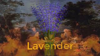 Dream Interpretation of Lavender ?