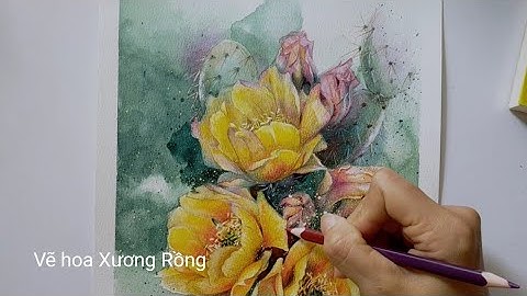 Hoa Xương Rồng rực rỡ trên sa mạc - Draw Cactus flowers