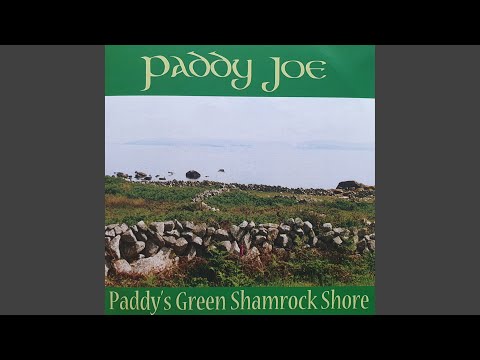 Paddys Green Shamrock Shore Paddys Green Shamrock Shore