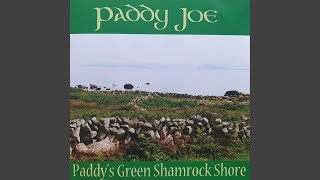 Paddy&#39;s Green Shamrock Shore