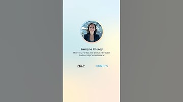 Practical solutions for multilateral action | Forest and Climate Leaders Partnership