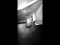 Hombre Maus Manchmal Will Man Weg Hombre Maus Manchmal Will Man Weg