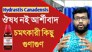 হাইড্রাসটিস হোমিওপ্যাথি ঔষধের উপকারীতা | hydrastis canadensis homeopathic medicine uses doses