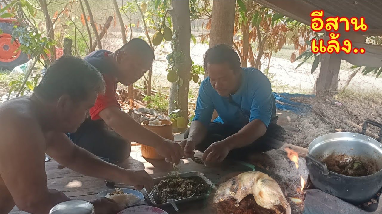 เปิดฤดูกาลทำนา ด้วยเมนูเด็ดๆ 