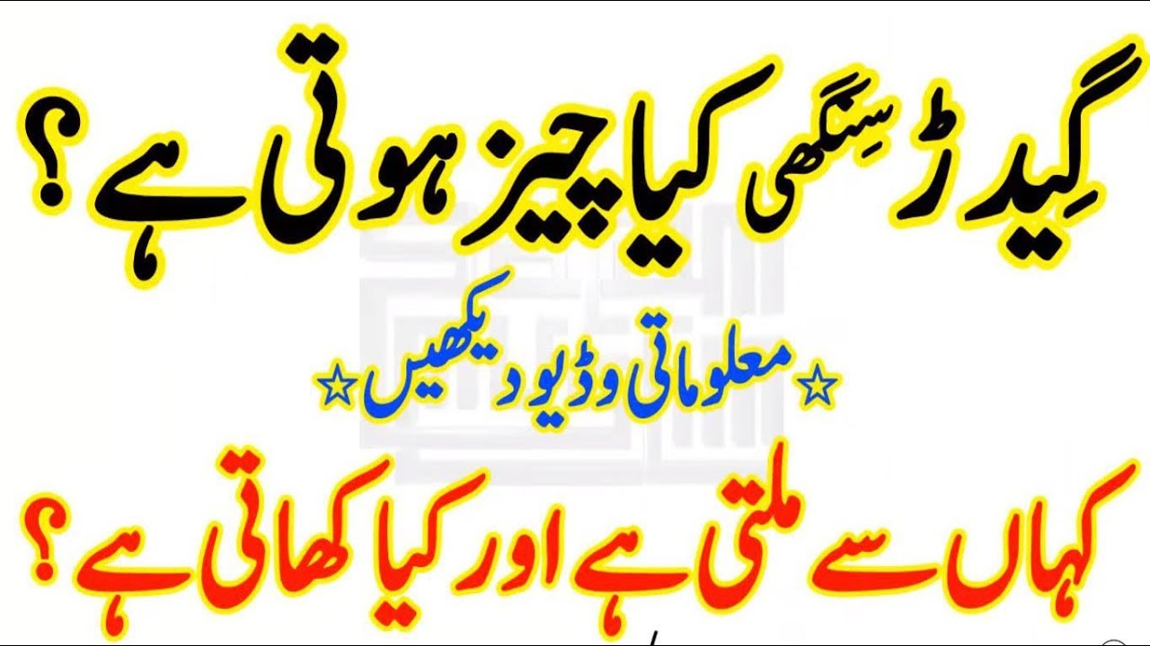 gidar-singhi-ka-istemal-in-urdu-gidar-singhi-ke-fayde-gidar-singhi