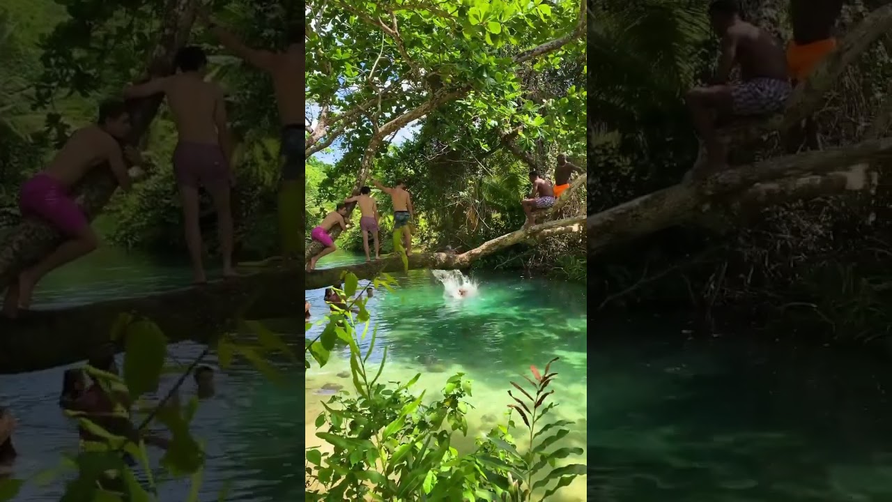 Frenchman’s Cove, San San Portland 🇯🇲 