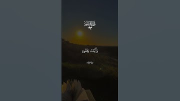 لا تحزن ان الله معنا ✨💚#قران #احمد_العجمي  #quran #قران_كريم #تلاوة_خاشعة #alaa_mustafa_1