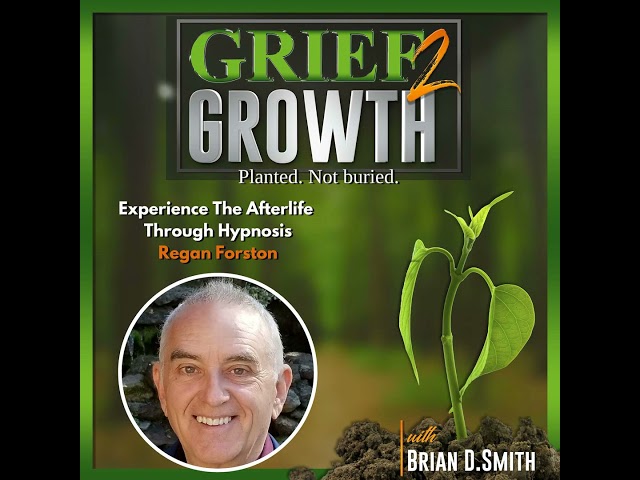 Experience The Afterlife Through Hypnosis - No Dea...