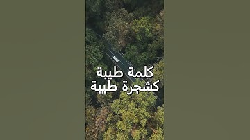 ألم تر كيف ضرب #الله  مثلا #كلمة  طيبة كشجرة طيبة #تلاوة #الشيخ #عبدالباسط_عبدالصمد #اكسبلور