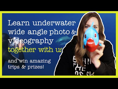 Learn WIDE ANGLE underwater filmmaking and photography and win amazing trips & prizes!