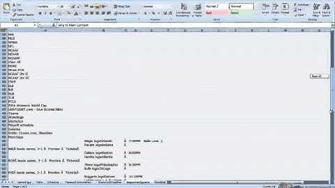 CIS 101 Final Project - Excel