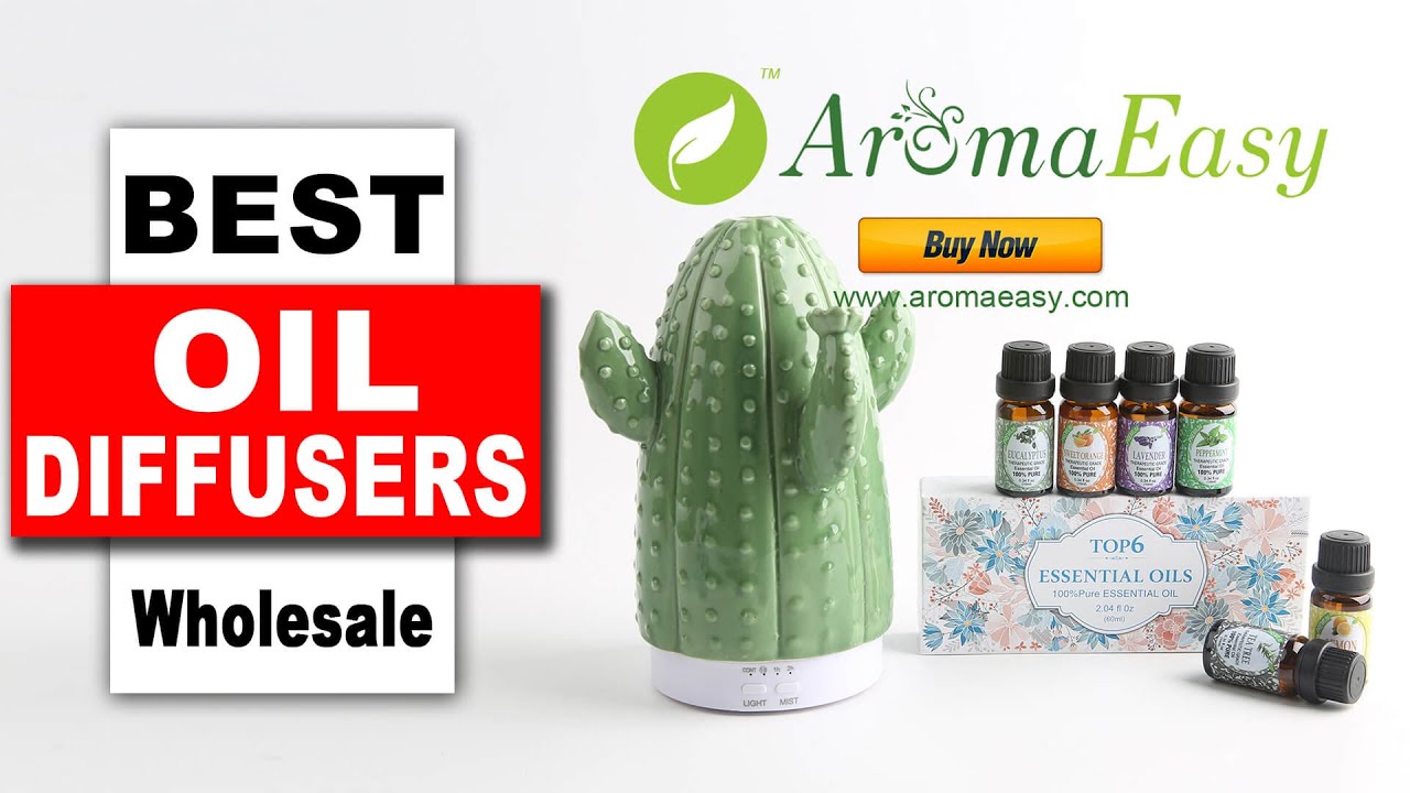 Wholesale Diffusers Mini Essential Oil Diffuser X117Q