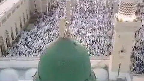 سورة هود من الآية 44