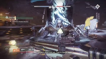 Random Two-Tailed Fox in Gambit
