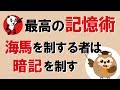 最高の記憶術！海馬を制する者は暗記を制す｜しあわせ心理学