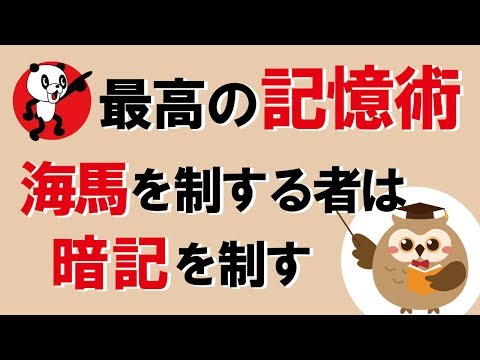 最高の記憶術！海馬を制する者は暗記を制す｜しあわせ心理学