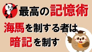 最高の記憶術！海馬を制する者は暗記を制す｜しあわせ心理学