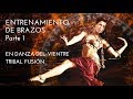 ENTRENAMIENTO DE BRAZOS DE BELLY DANCE Y TRIBAL FUSION PARA PRINCIPIANTES I