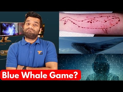 Blue Whale Game - The Killer Game - Stay Away!!!