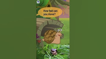 Slow but Smart! Learn About Snails Today!🐌🌀#snail #viralvideo #trending #shorts #animation #funny