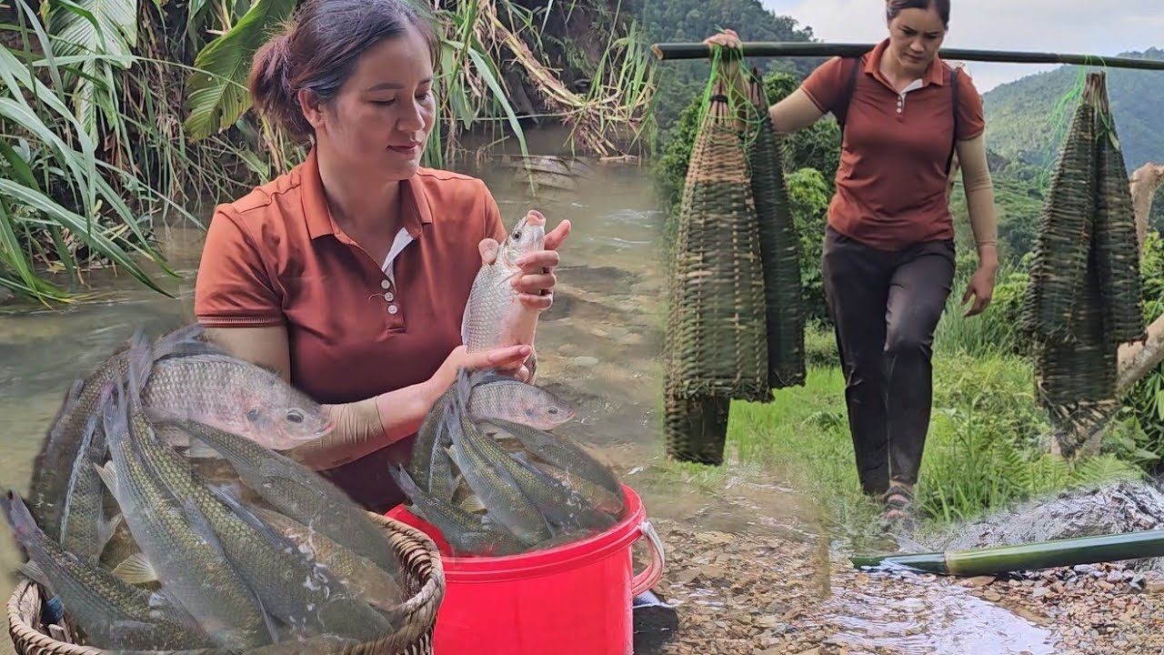 How to catch fish in the rainy season using a giant bamboo basket - YouTube